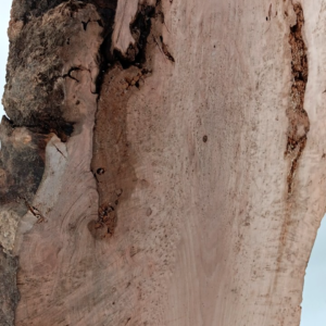 Cherry Burl Slab