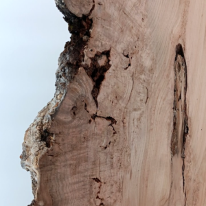 Cherry Burl Slab