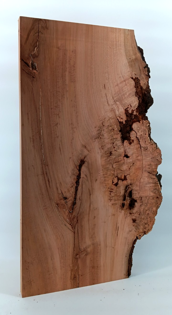 Cherry Burl Slab - Image 2
