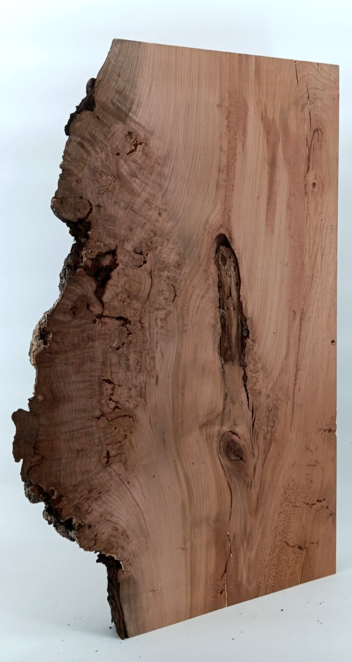 Cherry Burl Slab - Image 3