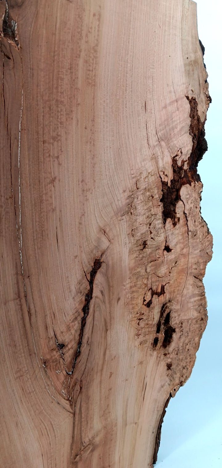 Cherry Burl Slab - Image 4