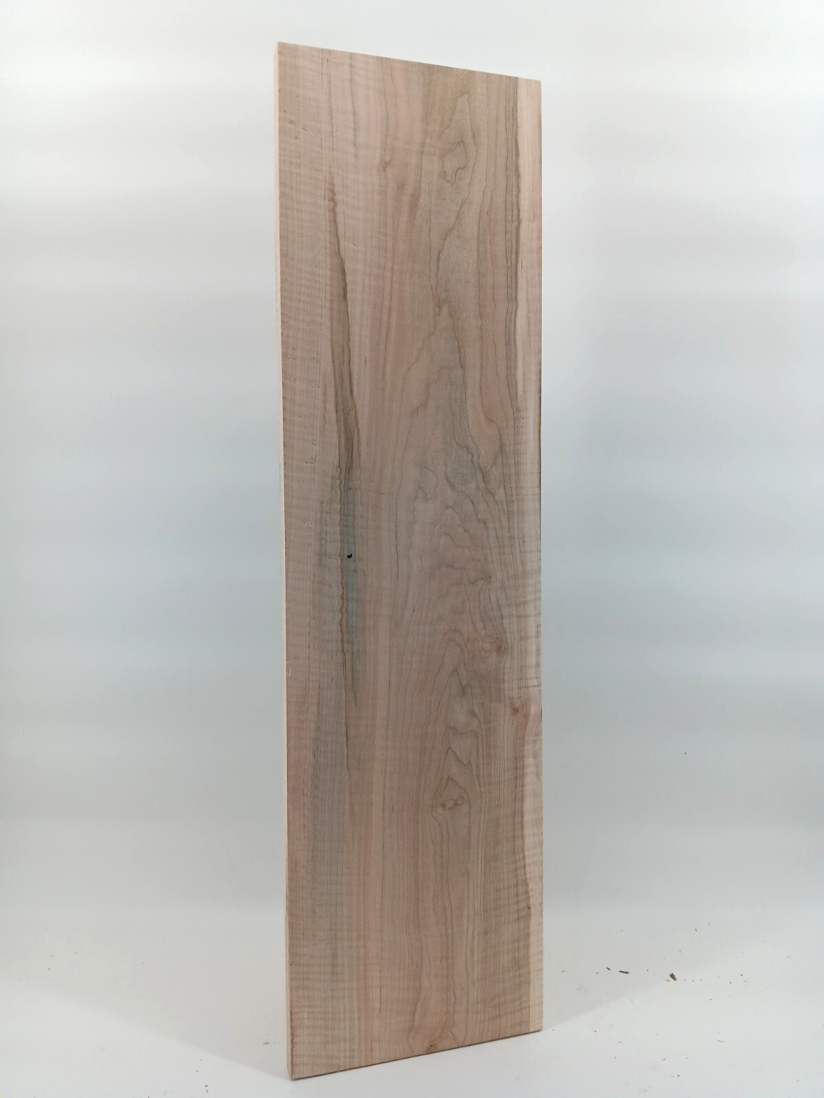 Curly Ambrosia Maple aka wormy maple - Image 2