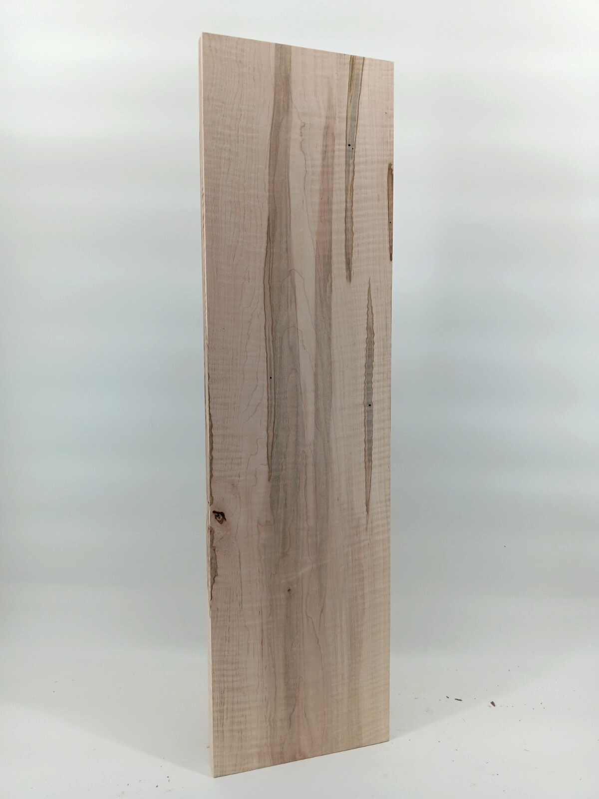 Curly Ambrosia Maple aka wormy maple - Image 3