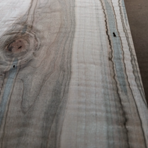 Curly Ambrosia Maple board aka wormy maple