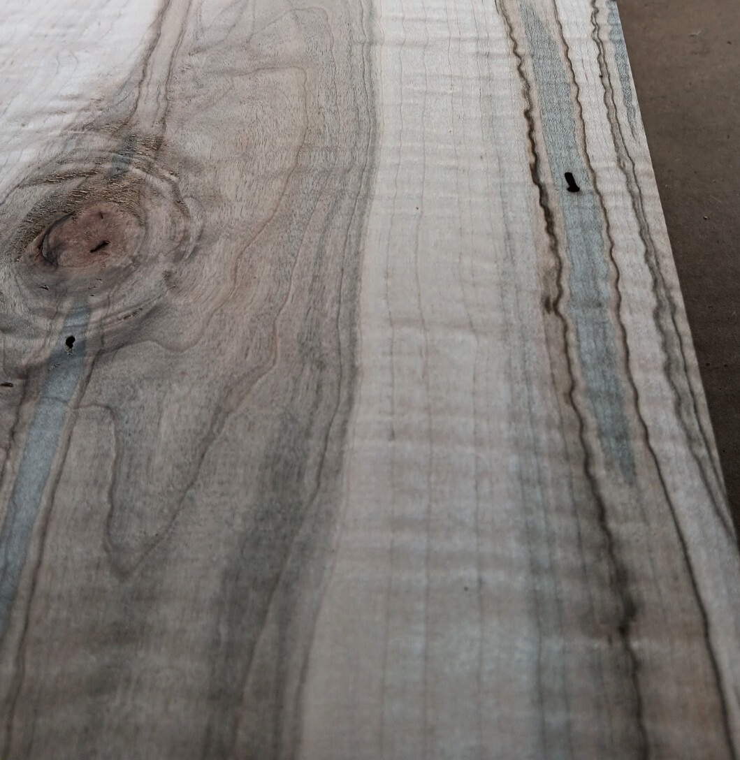 Curly Ambrosia Maple board aka wormy maple