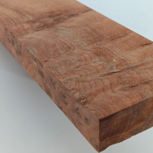 Thuya Burl