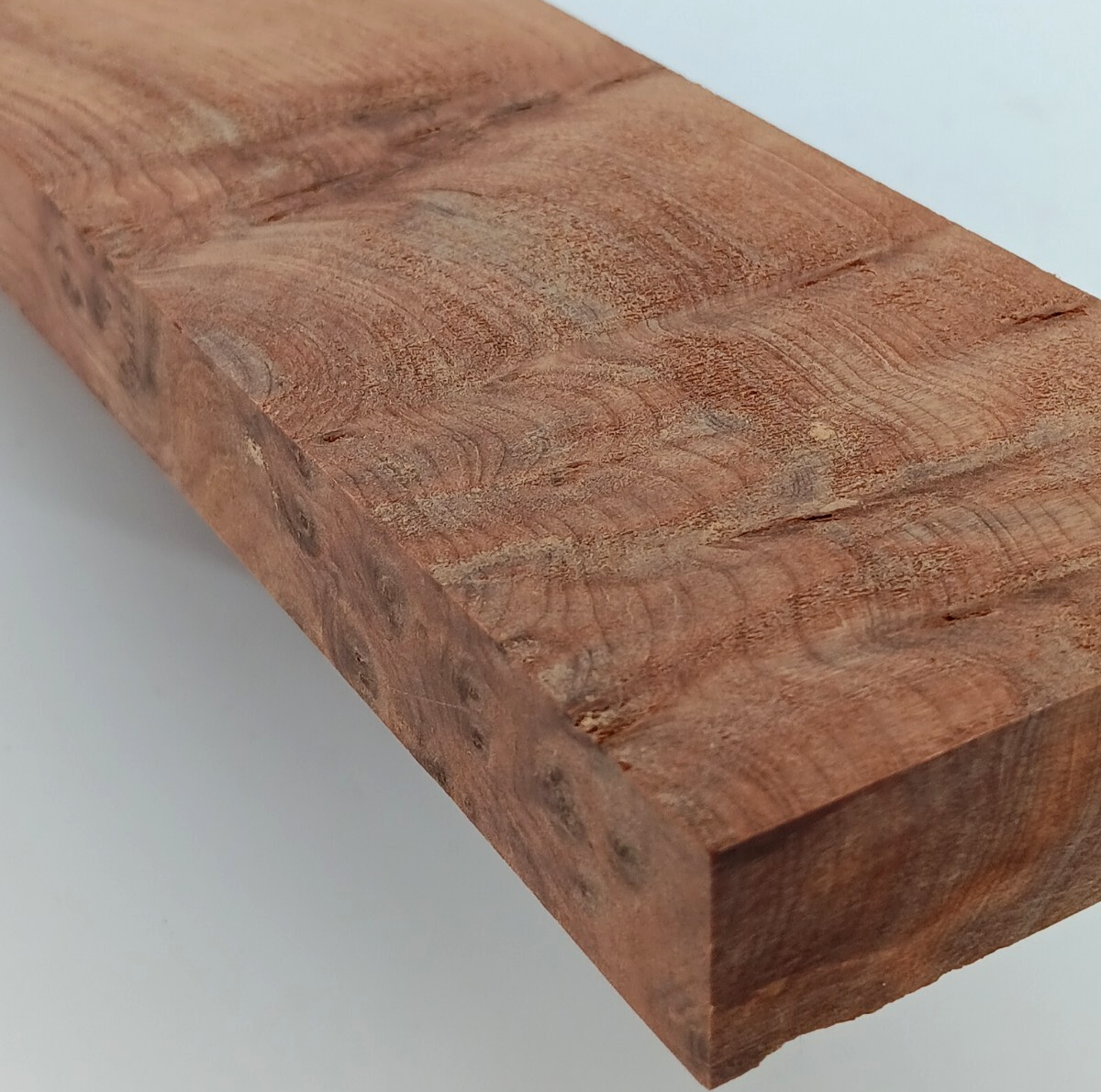 Thuya Burl