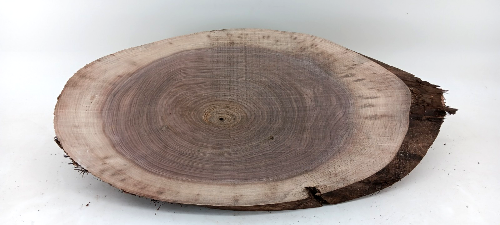 Black Walnut Live-edge Cookie, 1" x 10 1/2" x 22"