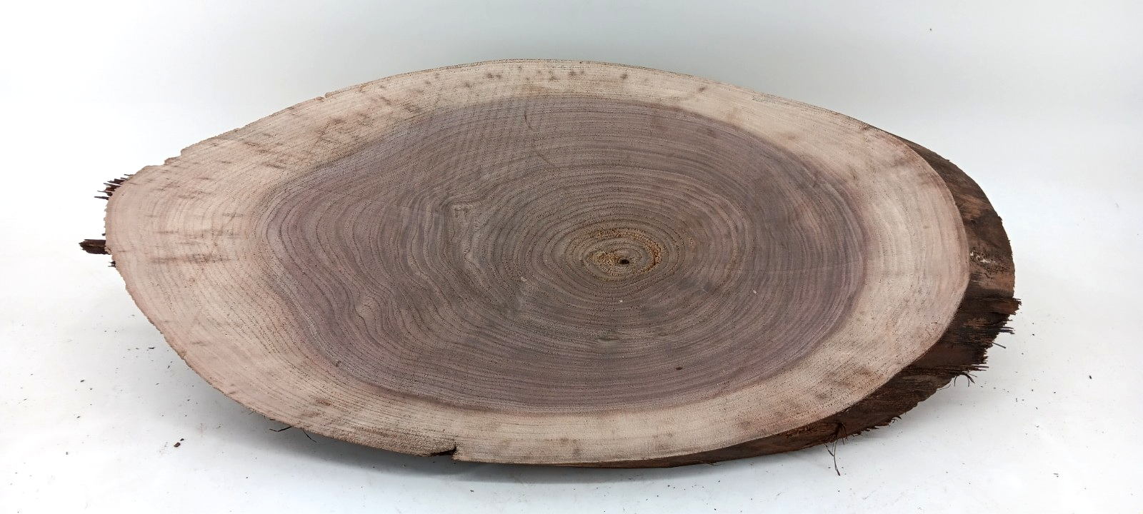 Black Walnut Live-edge Cookie, 1" x 10 1/2" x 22" - Image 2