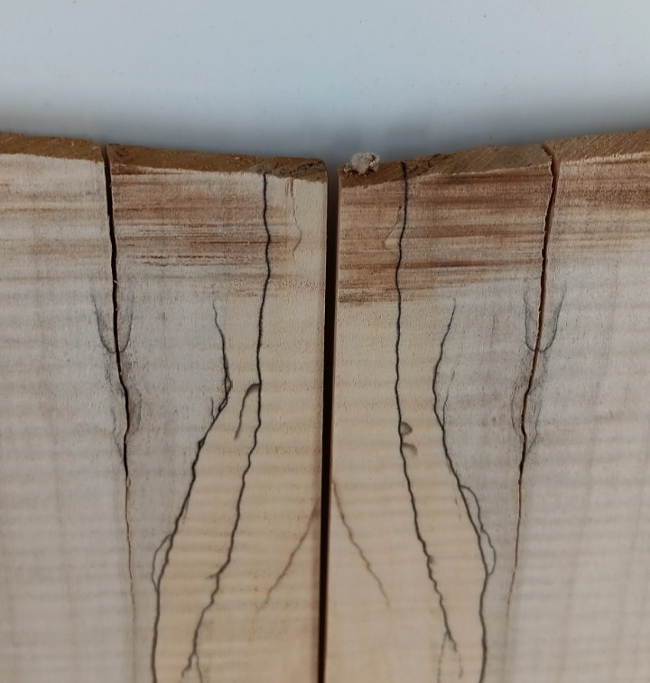 Curly Spalted Maple, Bookmatched Guitar Droptops, 2 pcs 1/4" x 7" x 25" - Image 2