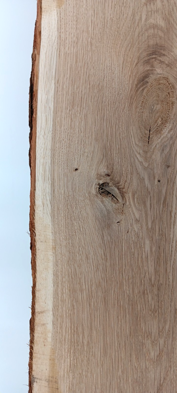 White Oak Live-edge Slab - Image 3