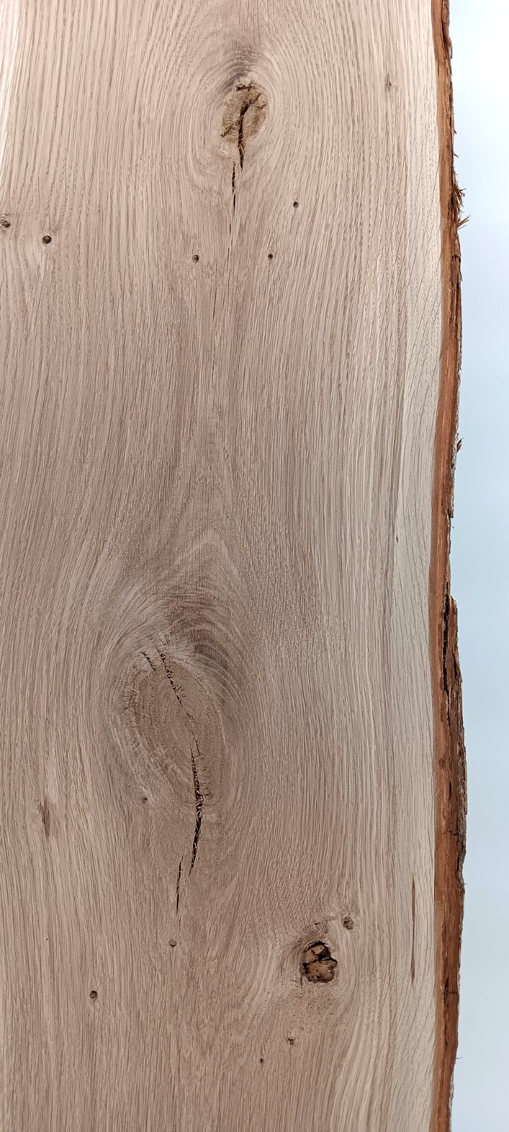 White Oak Live-edge Slab - Image 4