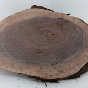 Black Walnut Live-edge Cookie, 1" x 12" x 19"