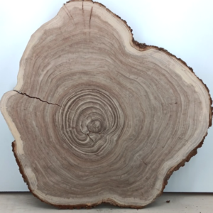 Red Elm Live-edge Cookie, 2 3/8" x 35" - 42"