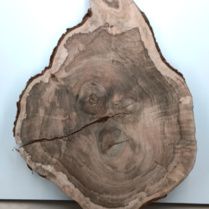 Soft Maple Live-edge Cookie, 1 3/4" x 29" - 40"