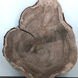 Soft Maple Live-edge Cookie, 1 3/4" x 29" - 39"