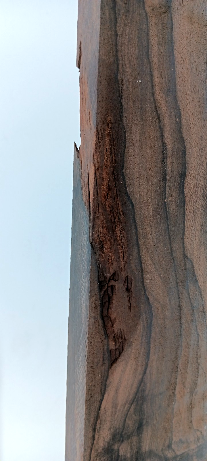 Zericote, ziricote, 7/8" x 4 5/8" x 35 1/4" - Image 6
