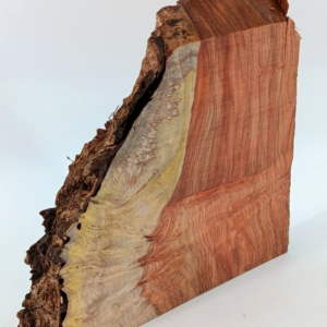Amboyna Burl Slice 7/8" x 7 1/2" x 8" with live-edge, air-dried