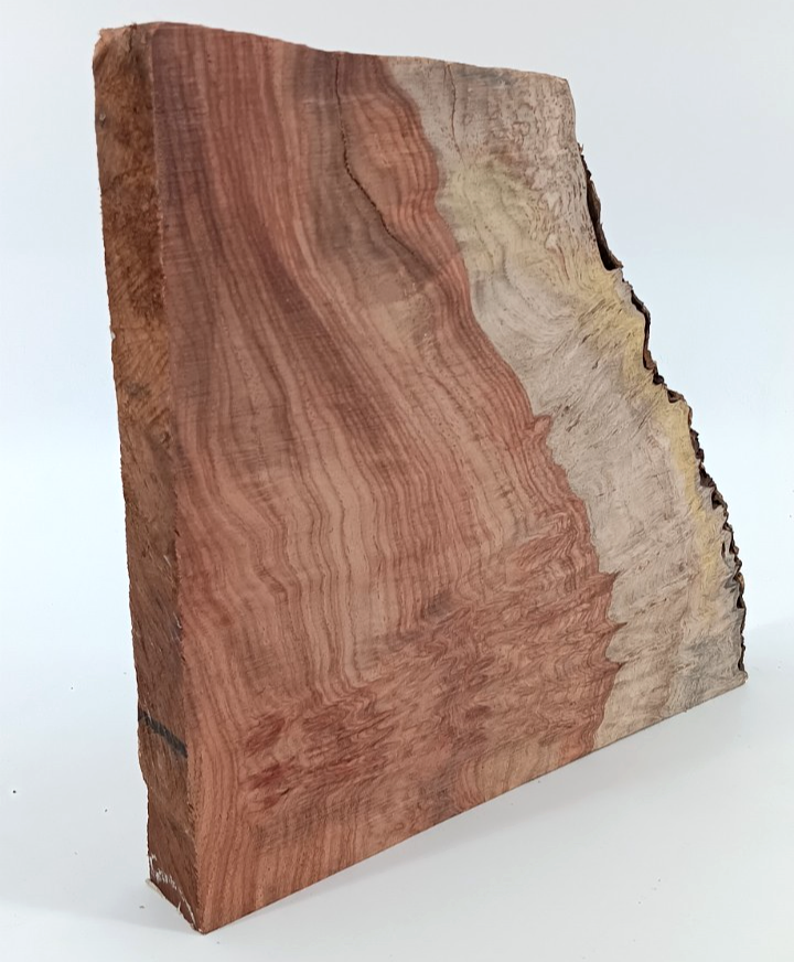 Amboyna Burl Slice 1" x 8" x 8" with live-edge, air-dried