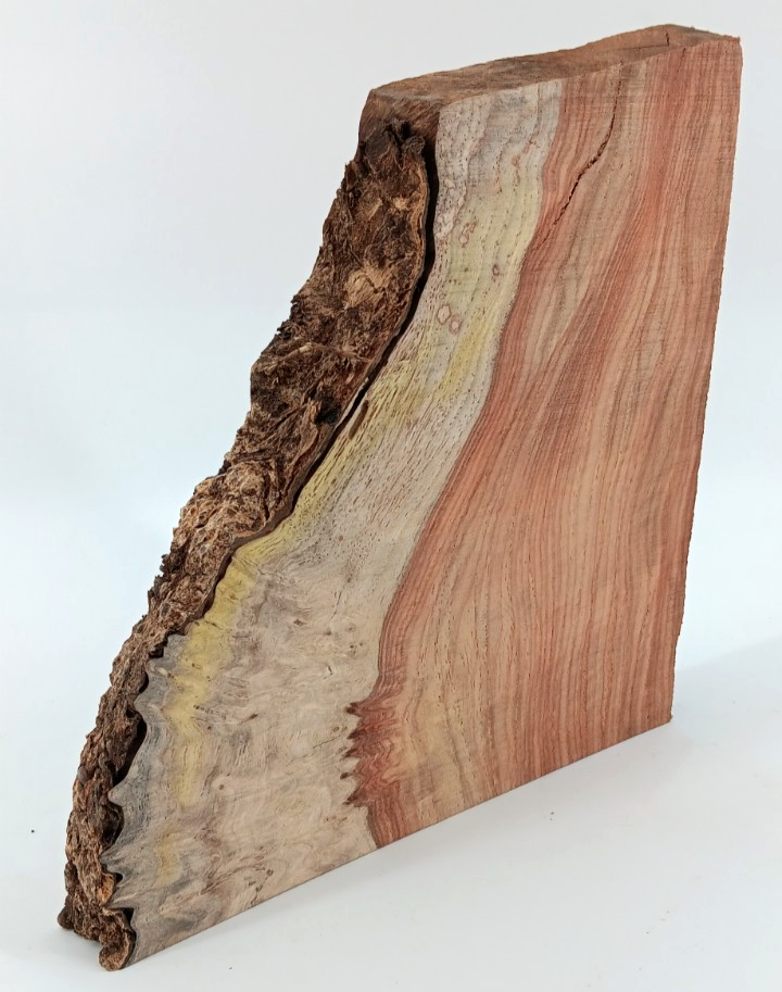 Amboyna Burl Slice 1" x 8" x 8" with live-edge, air-dried - Image 2