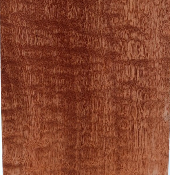 Figured Sapele board, sapelli, sapeli mahogany, Entandrophragma cylindricum