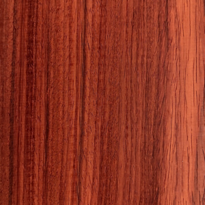 Padauk board aka vermillion, Pterocarpus soyauxi
