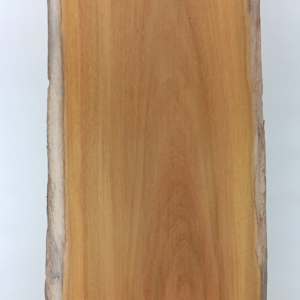 Osage Orange Live-edge Slab, Horse Apple, Bois d’arc, 1" x 14" - 16" x 42"