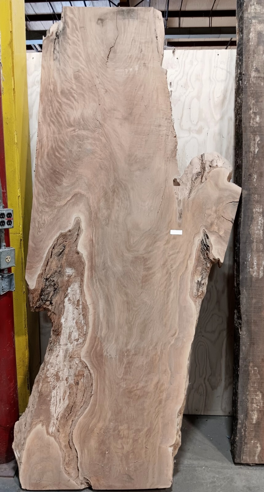 Matumi Slab - Image 2