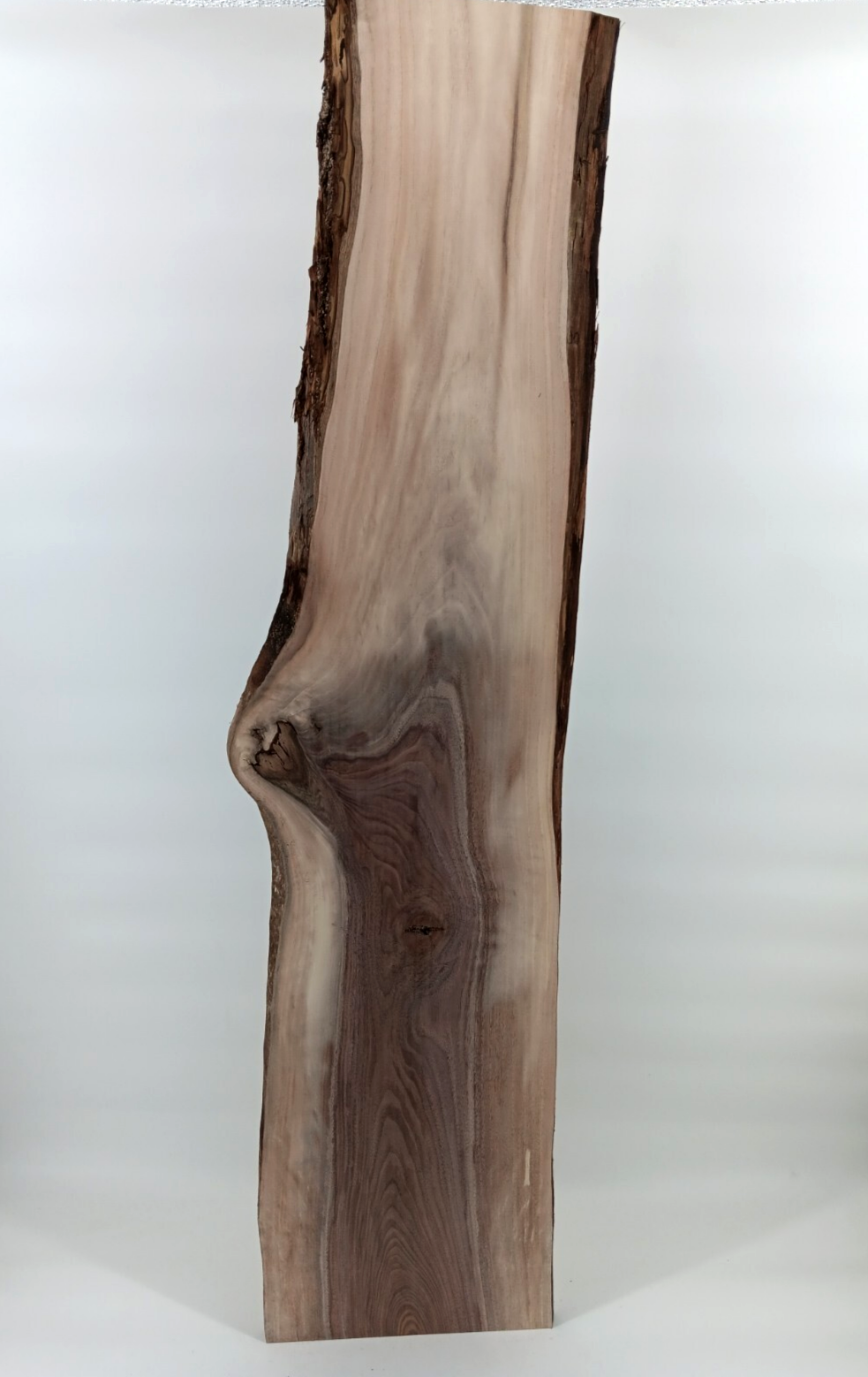 Walnut Live-edge Slab - Image 2