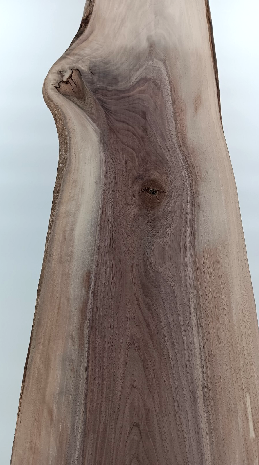 Walnut Live-edge Slab - Image 3
