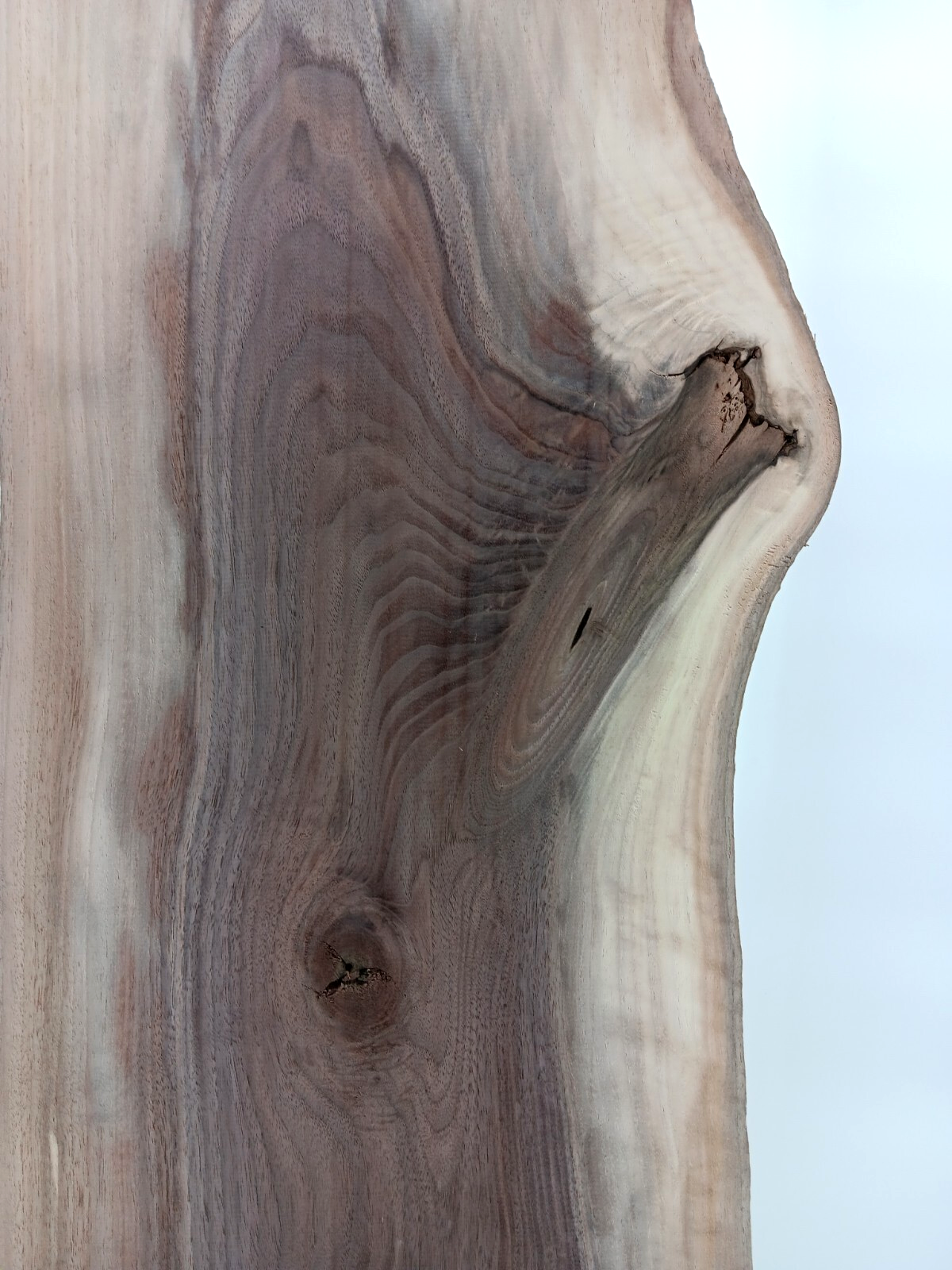 Walnut Live-edge Slab - Image 4