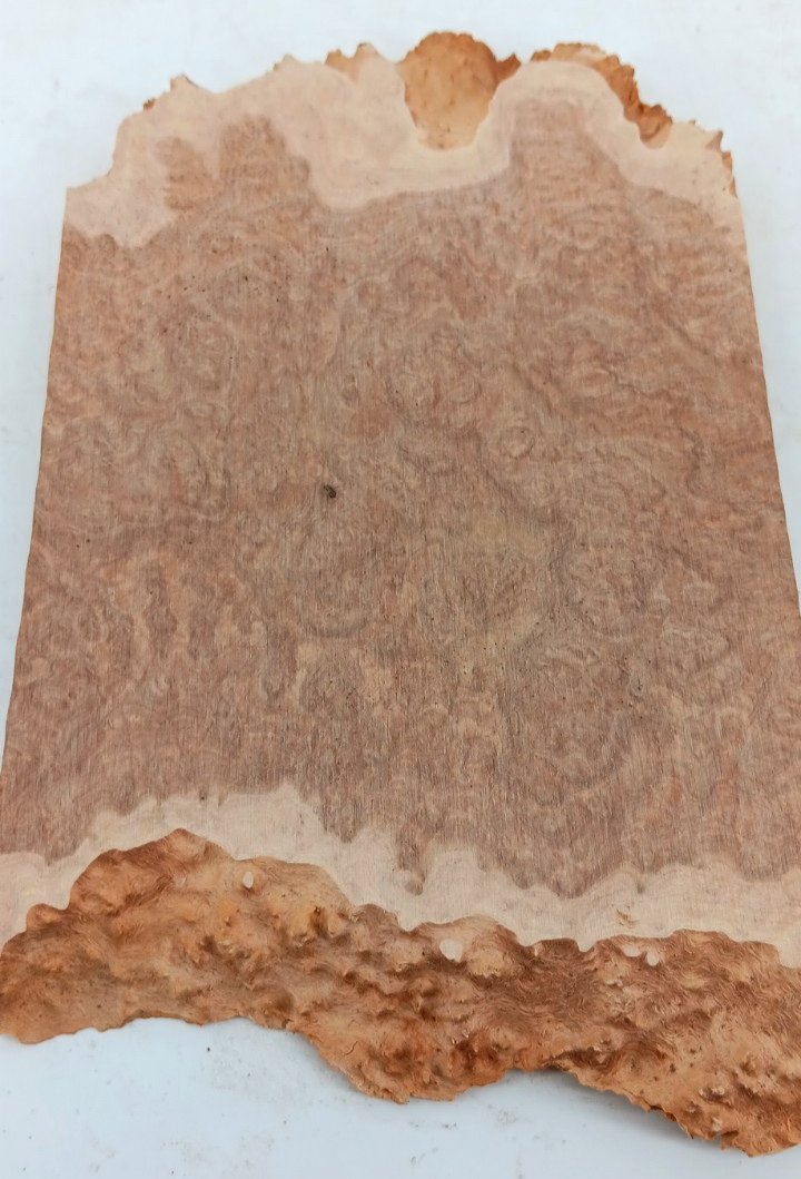 Brown Mallee Burl 3/4" x 6" x 10 1/2"