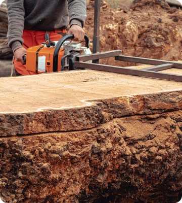 Live-edge Slabs