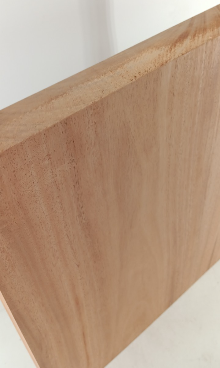 African Mahogany, 1 pc solid guitar body, 1 3/4" x 16 1/2" x 21", 10 lbs 13.1 oz - Image 2