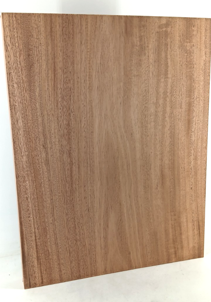 African Mahogany, 1 pc solid guitar body, 1 3/4" x 16 1/2" x 21", 10 lbs 13.1 oz - Image 3