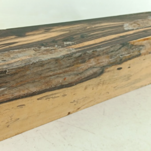 Black and White Ebony, Pale Moon, air-dried and waxed, 3" x 3" x 12"