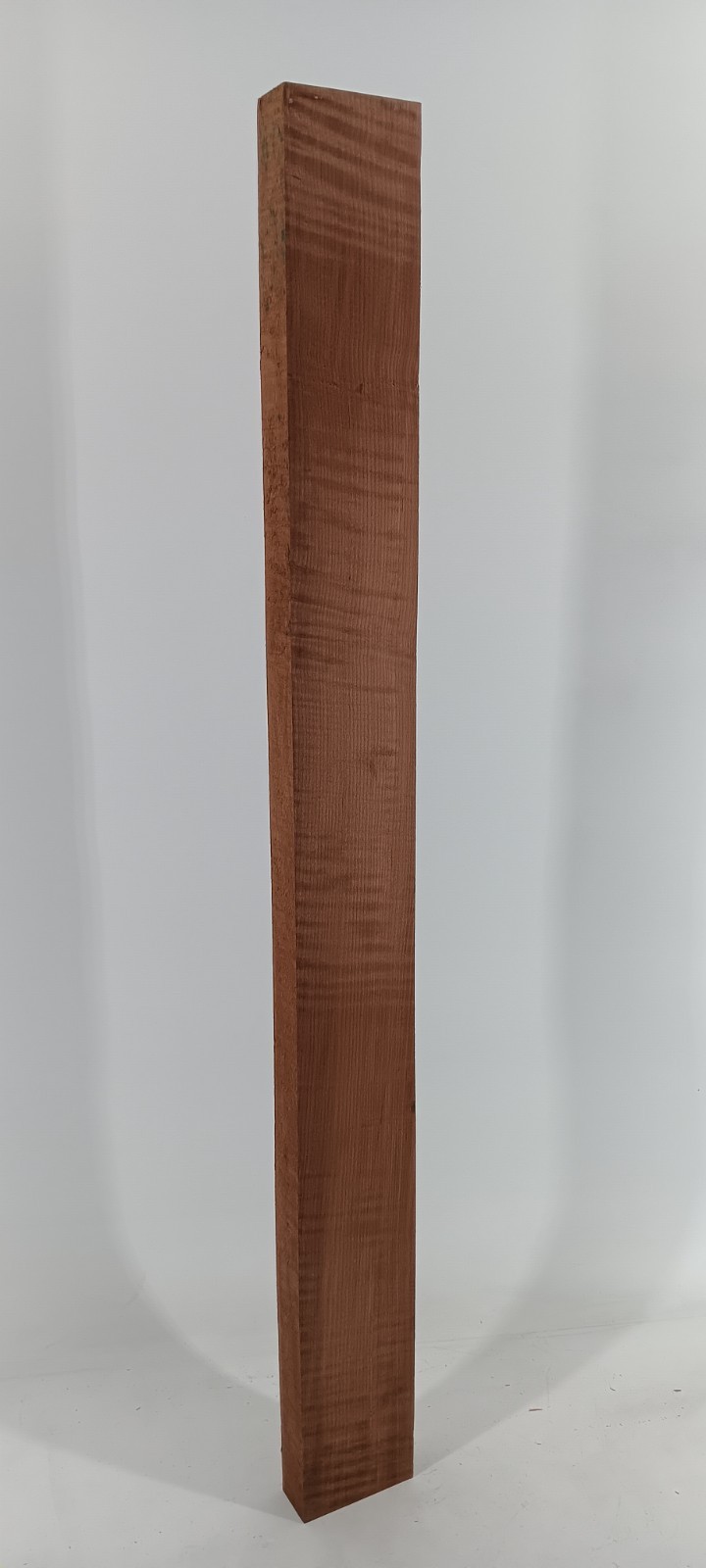 Curly Torrified Maple, Master grade Guitar Neck, 1 1/8" x 2 7/8" x 30" - Image 2